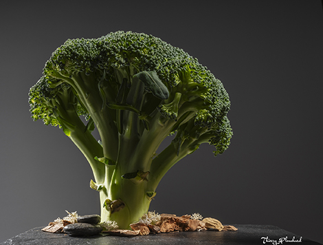 brocoli